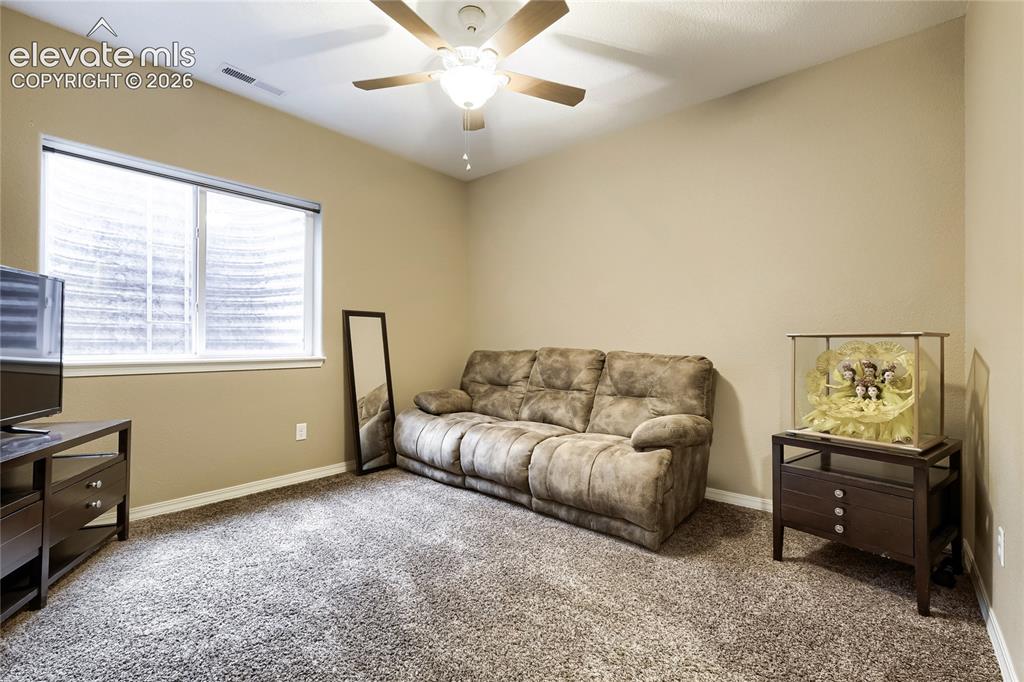 Image 20 of 32: Basement 6th bedroom with walk-in closet