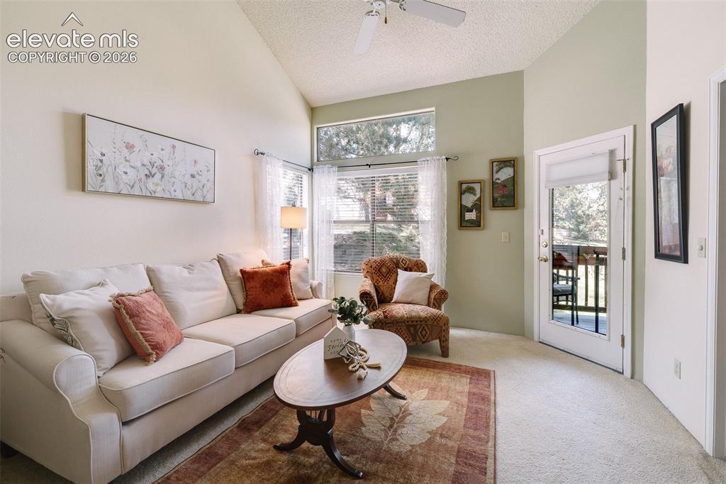 Image 15 of 27: The lower-level living room has neutral carpet and a lighted ceiling fan. I