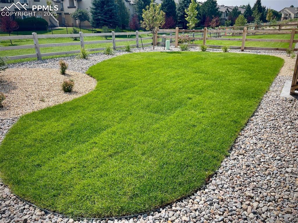 Image 20 of 21: Yard