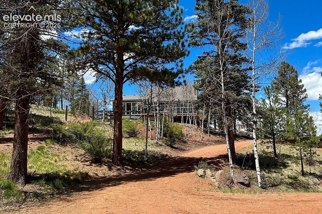 Image 2 of 32: Driveway leading to the house