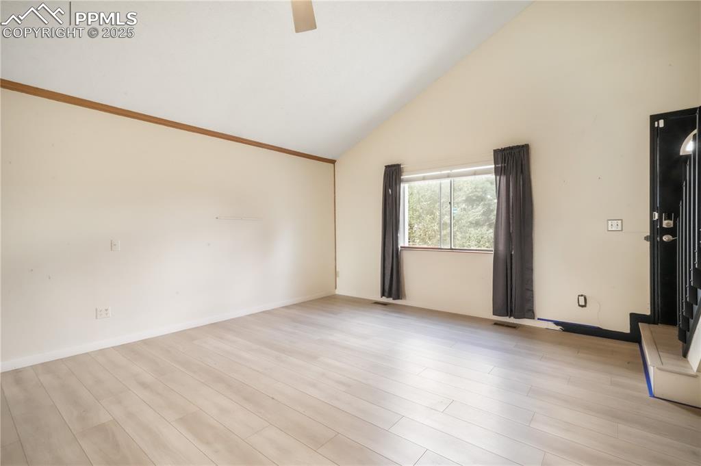 Image 3 of 50: Other