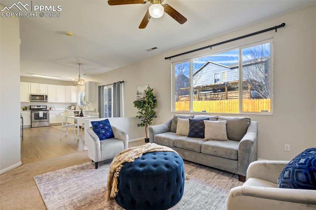 Image 15 of 50: Family Room