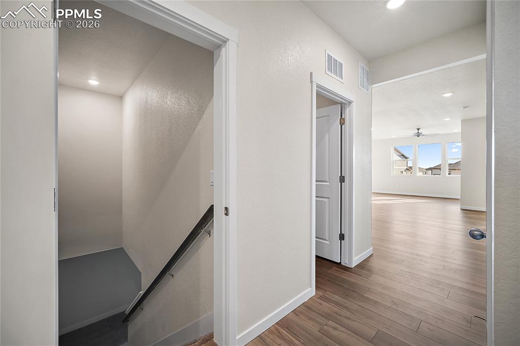 Image 29 of 39: Other