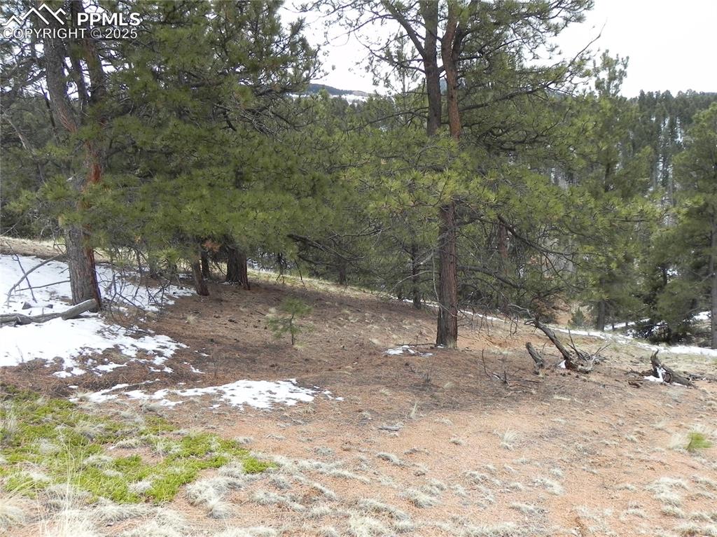 Image 11 of 11: Other