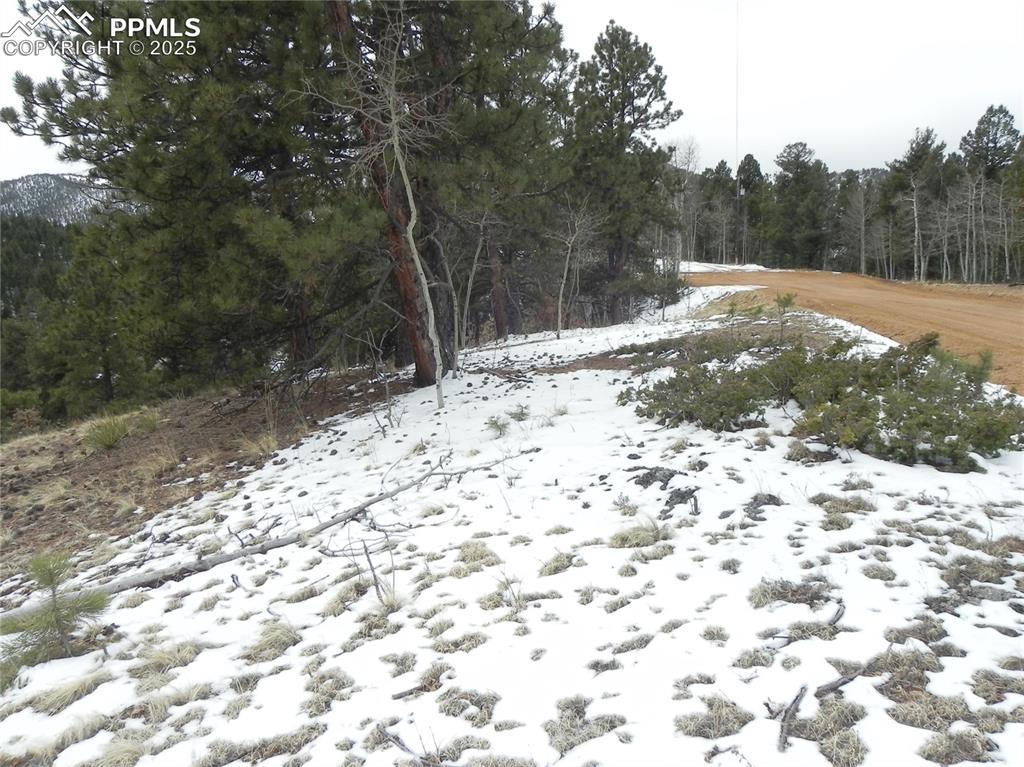 Image 8 of 11: Other