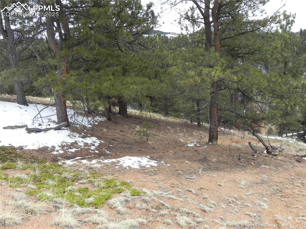 Image 9 of 11: Other