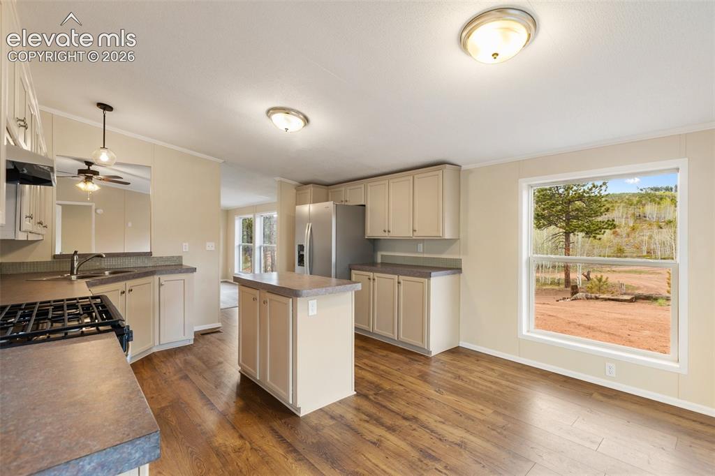 Image 19 of 48: All new stainless appliances, dw, gas range/oven, double door fridge, new L
