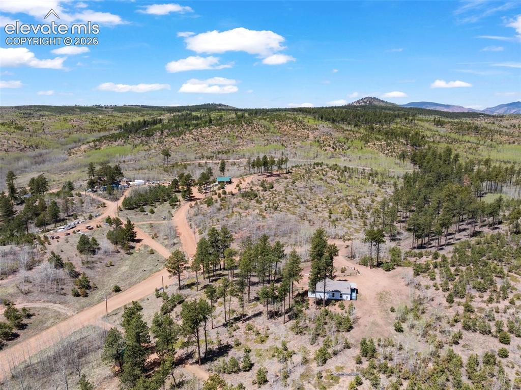 Image 44 of 48: Vast areas of Pike National Forest for ATV, OHV-tons of trails! Hunt, hike,