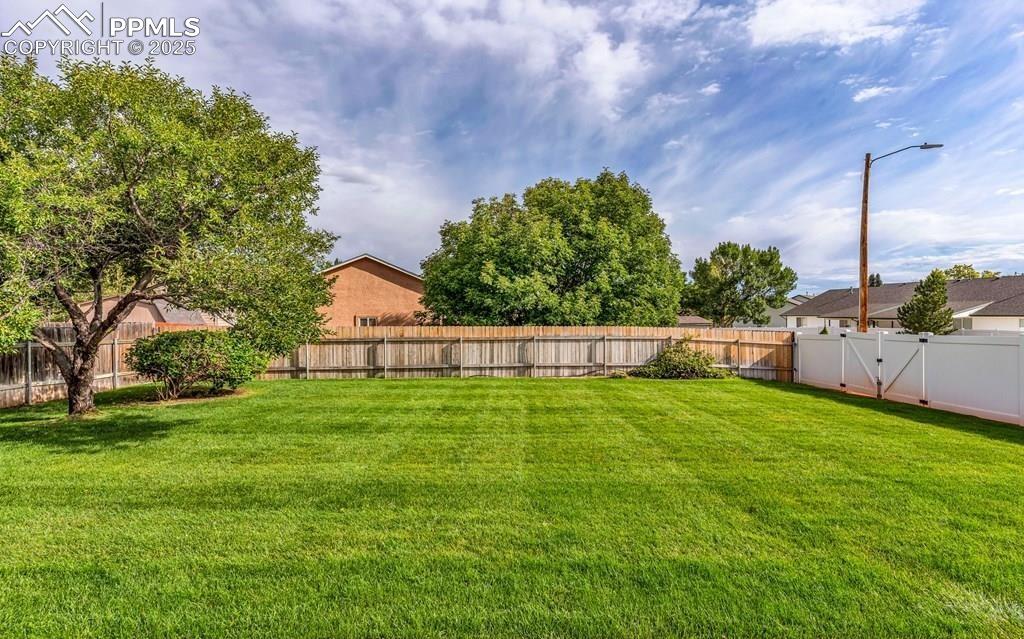 Image 21 of 30: No Description Available