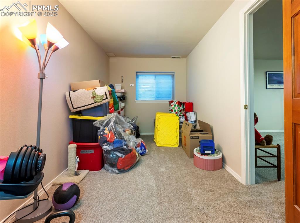 Image 40 of 50: Flex room or storage space with carpet flooring and baseboards