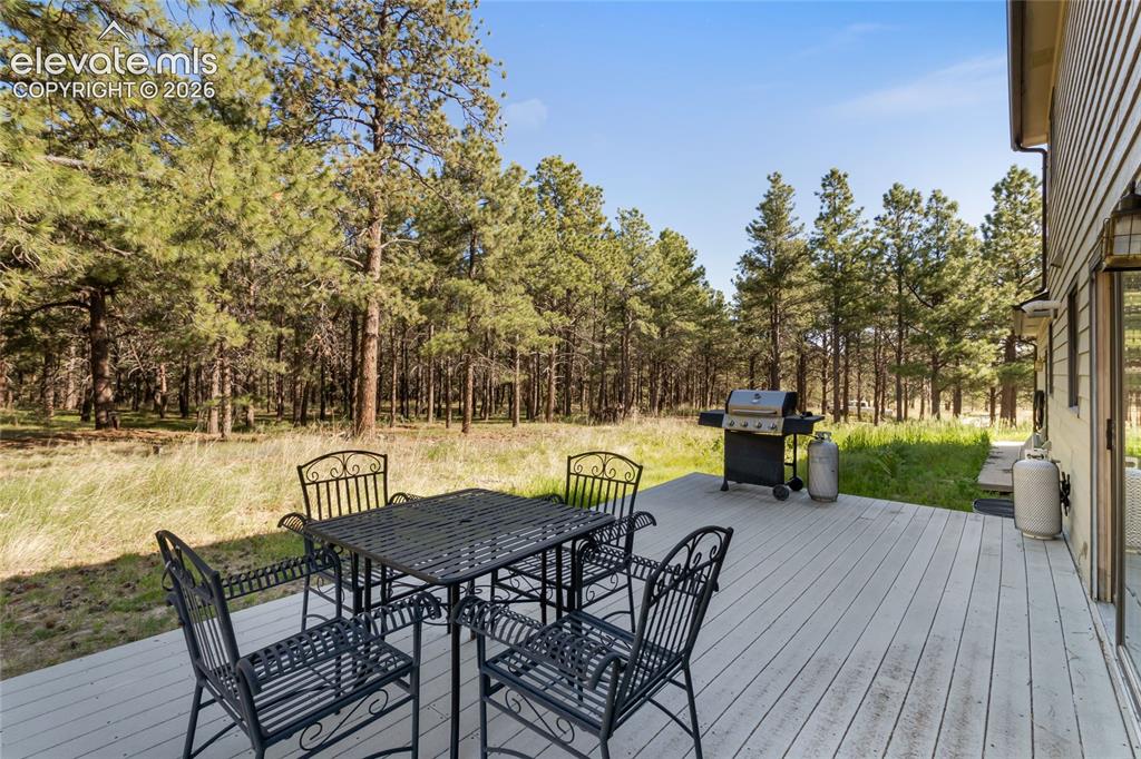 Image 21 of 29: Back deck