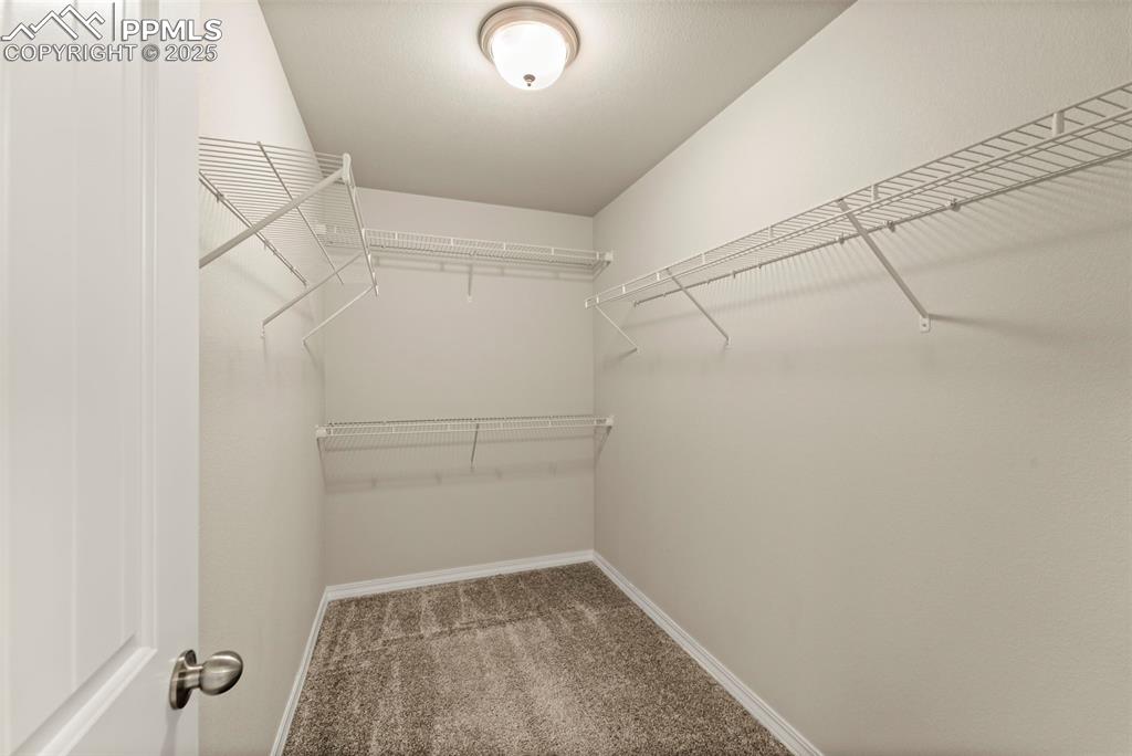 Image 34 of 35: Spacious closet featuring carpet floors