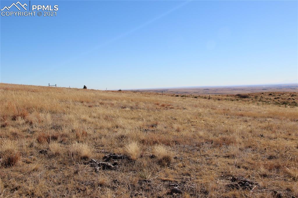 Image 3 of 15: No Description Available