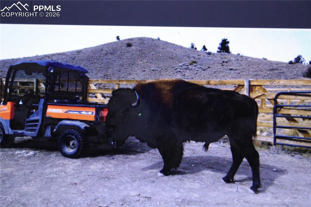 Image 15 of 17: Other