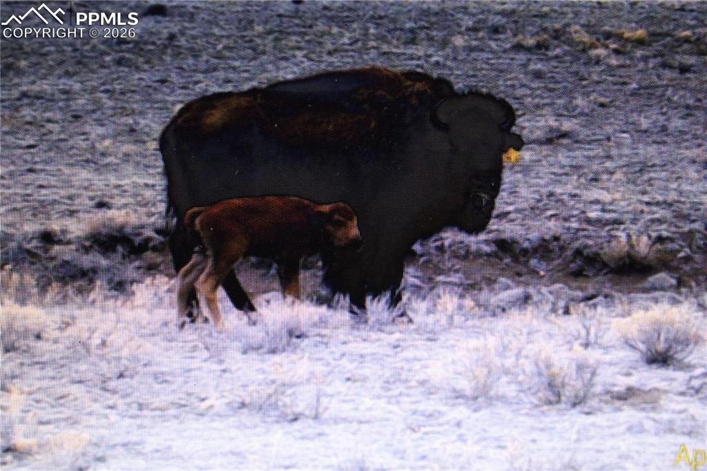 Image 16 of 17: Other