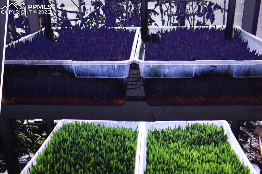 Image 18 of 18: Other