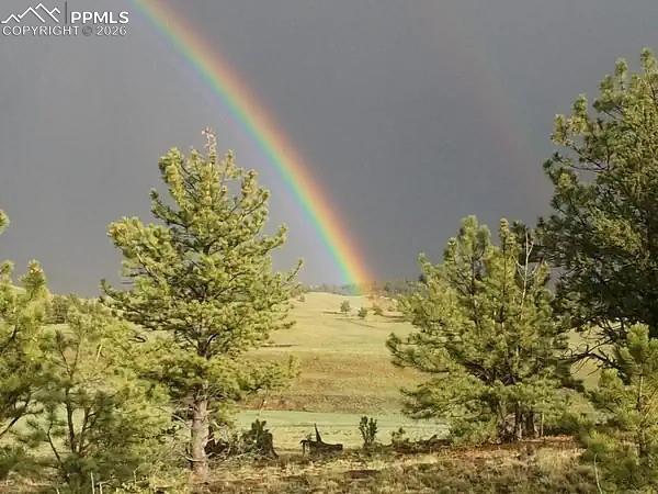 Image 2 of 17: Other