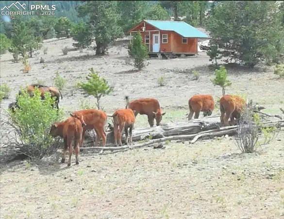 Image 6 of 17: Other