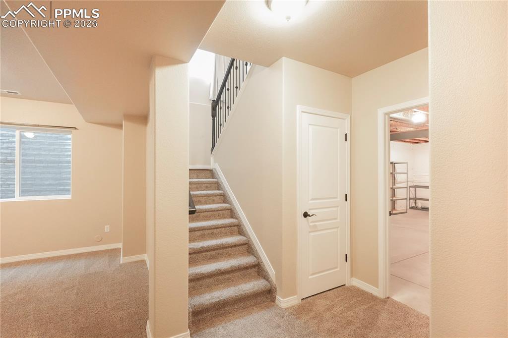 Image 33 of 44: Stairway with carpet flooring and baseboards