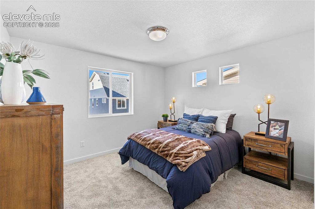 Image 19 of 25: Wall-to-wall carpeting with light-toned walls and multiple windows
*photos