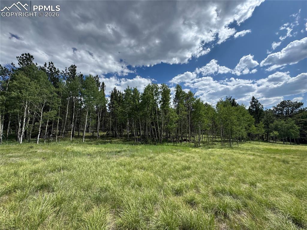 Image 3 of 9: View of yard with a wooded view