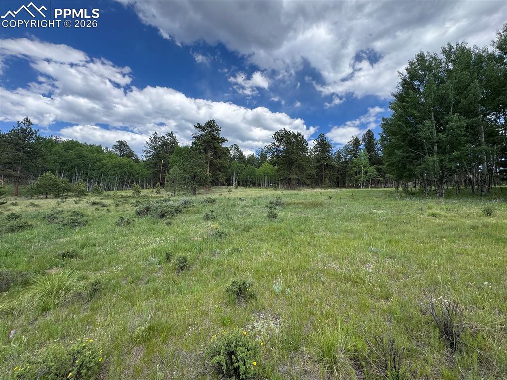 Image 5 of 9: View of woods featuring a view of rural / pastoral area