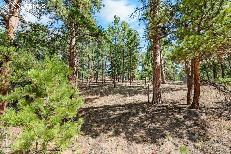 Image 3 of 11: View of nature