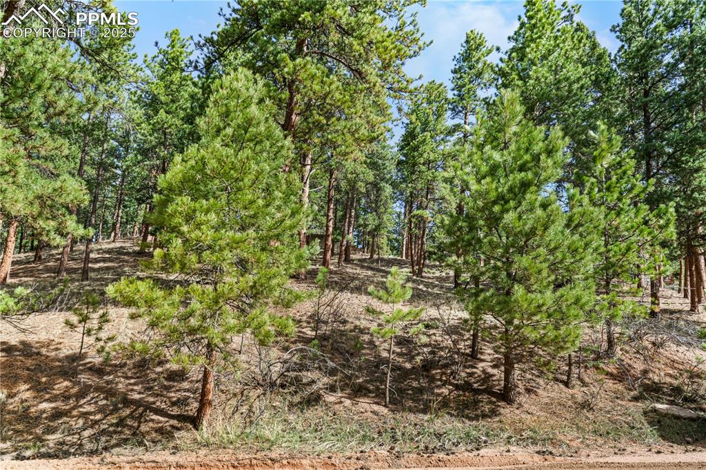 Image 5 of 11: View of nature