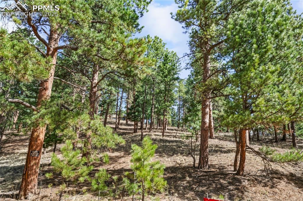 Image 6 of 11: View of nature