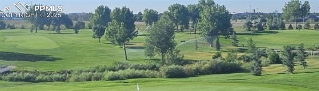 Image 8 of 8: Community