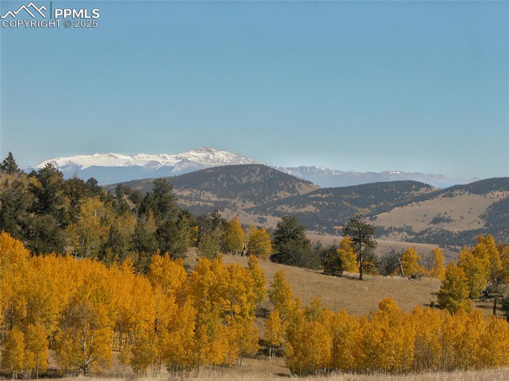 Image 11 of 16: View