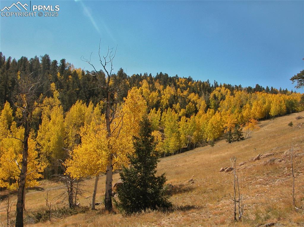 Image 12 of 16: Other