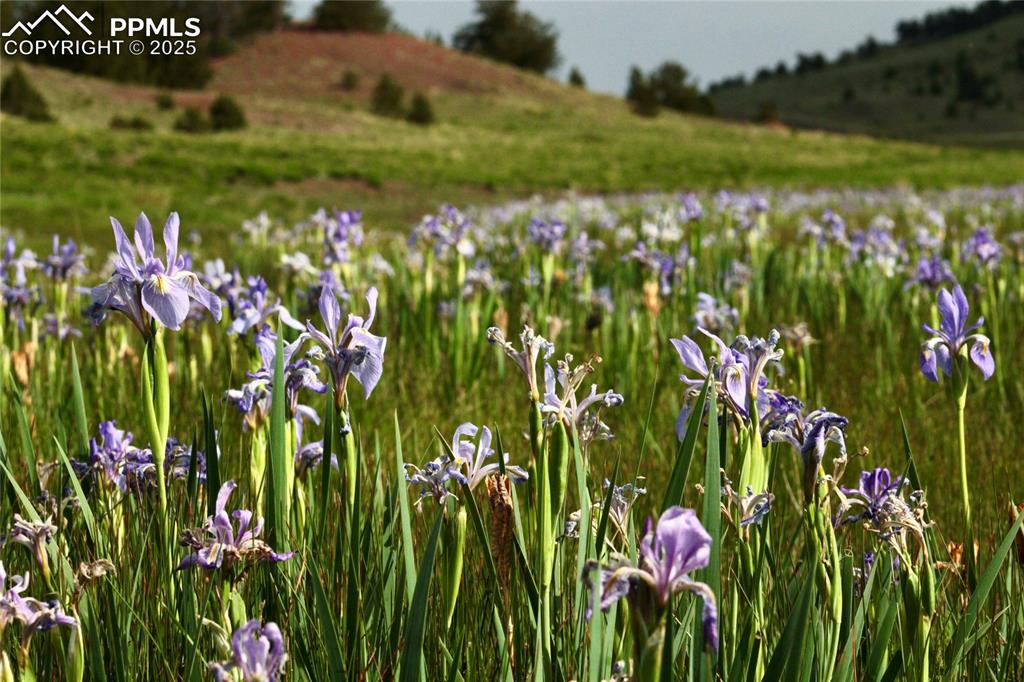 Image 13 of 16: Other