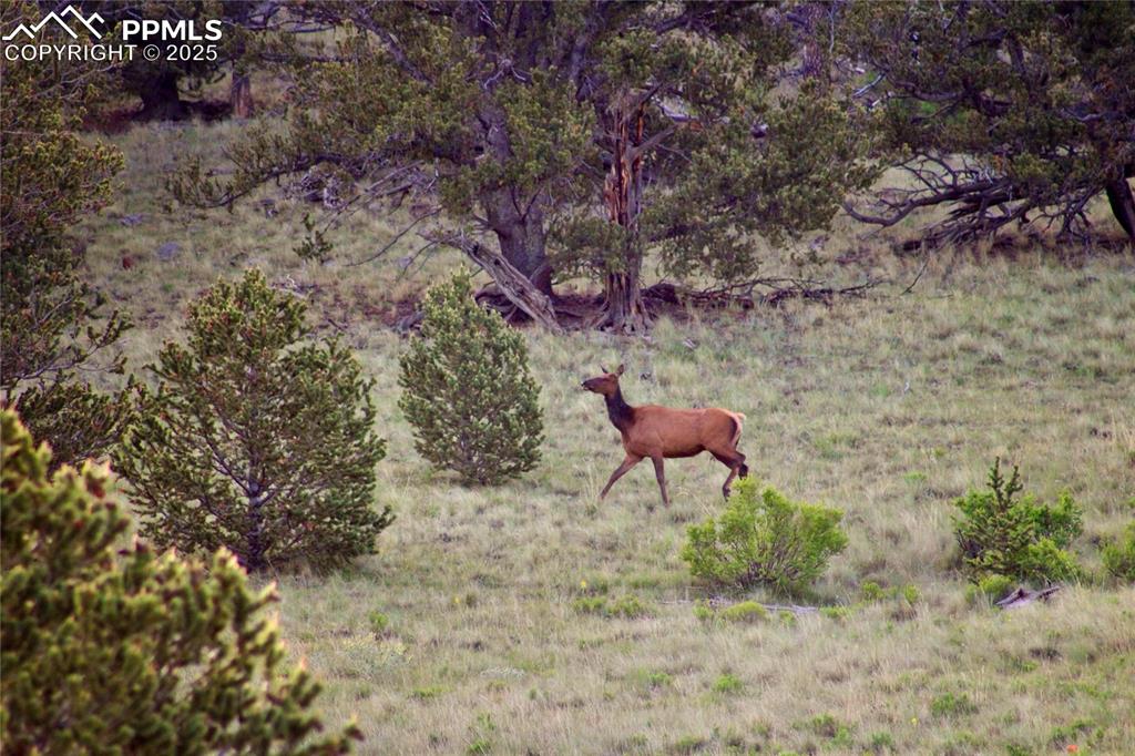 Image 14 of 16: Other