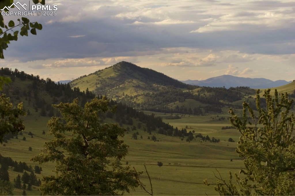 Image 15 of 16: View