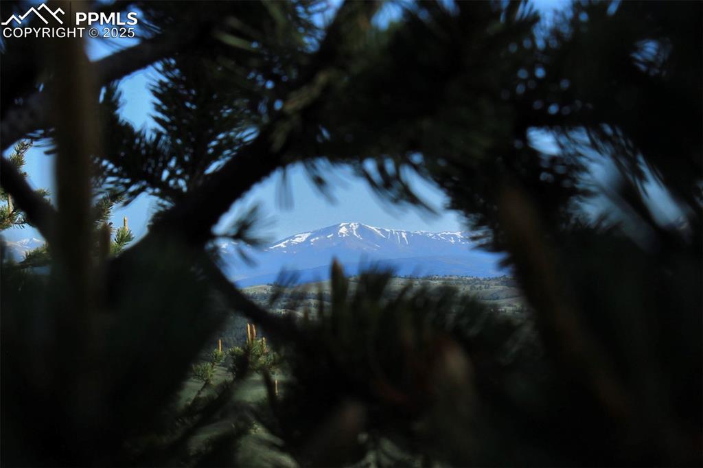 Image 16 of 16: Other