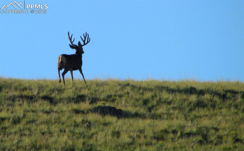 Image 9 of 16: Other