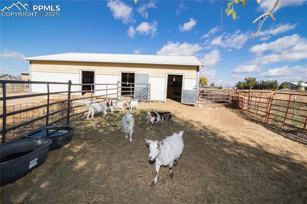 Image 34 of 45: Back of Structure