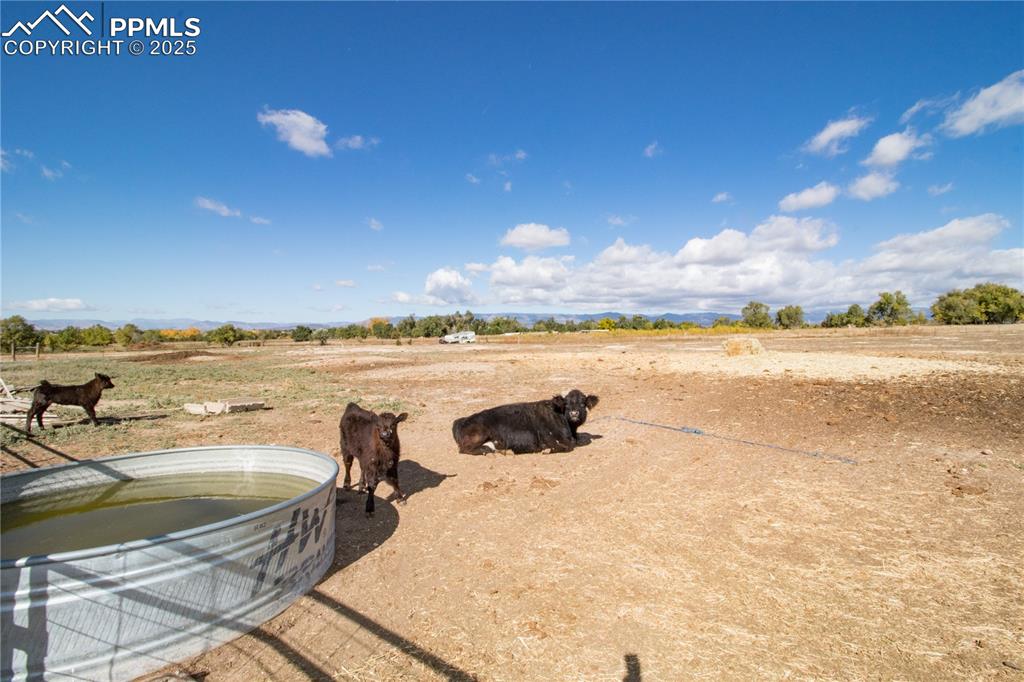 Image 42 of 45: Yard