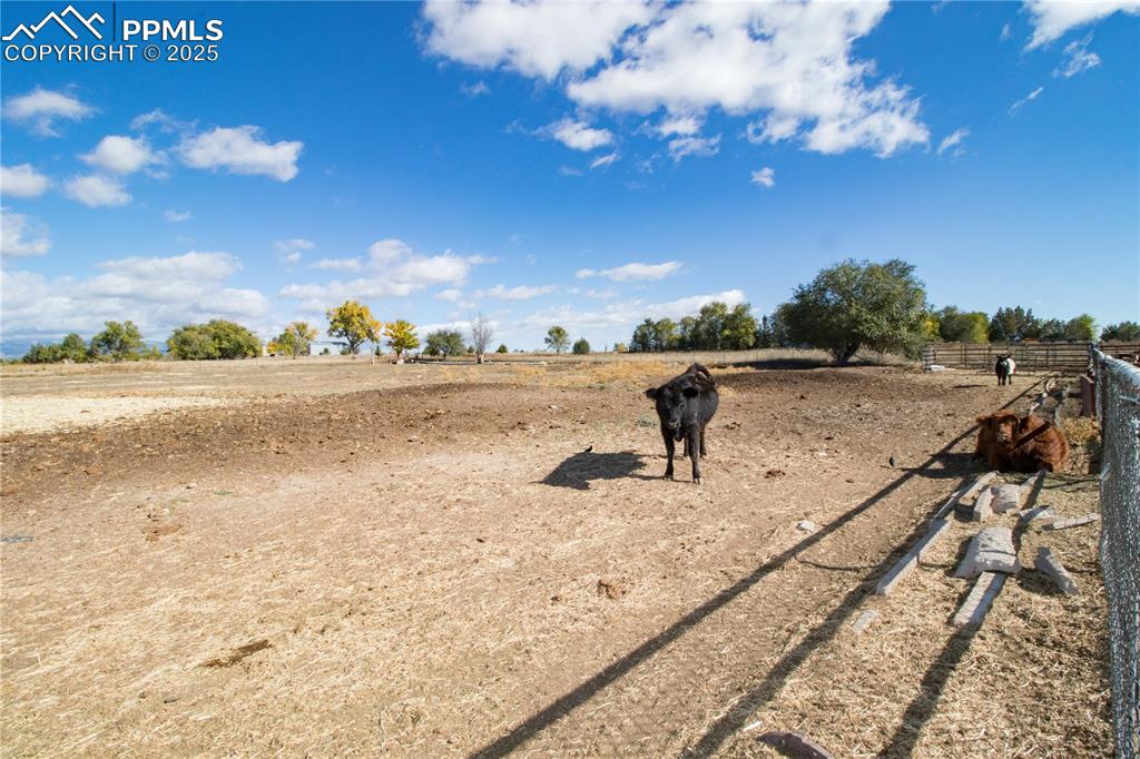 Image 43 of 45: Yard