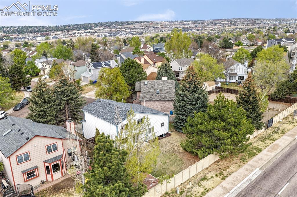 Image 45 of 45: Spacious rear yard featuring mature evergreen trees and a concrete patio