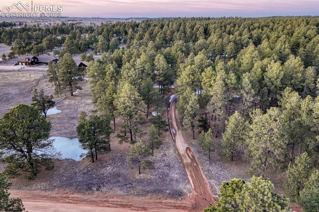 Image 39 of 47: Aerial view at dusk featuring a view of trees