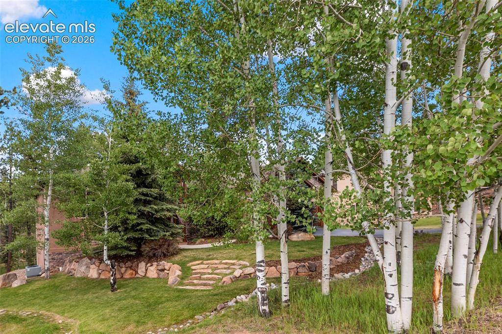 Image 38 of 50: Enjoy the beautiful, mature, professionally landscaped front yard with an a
