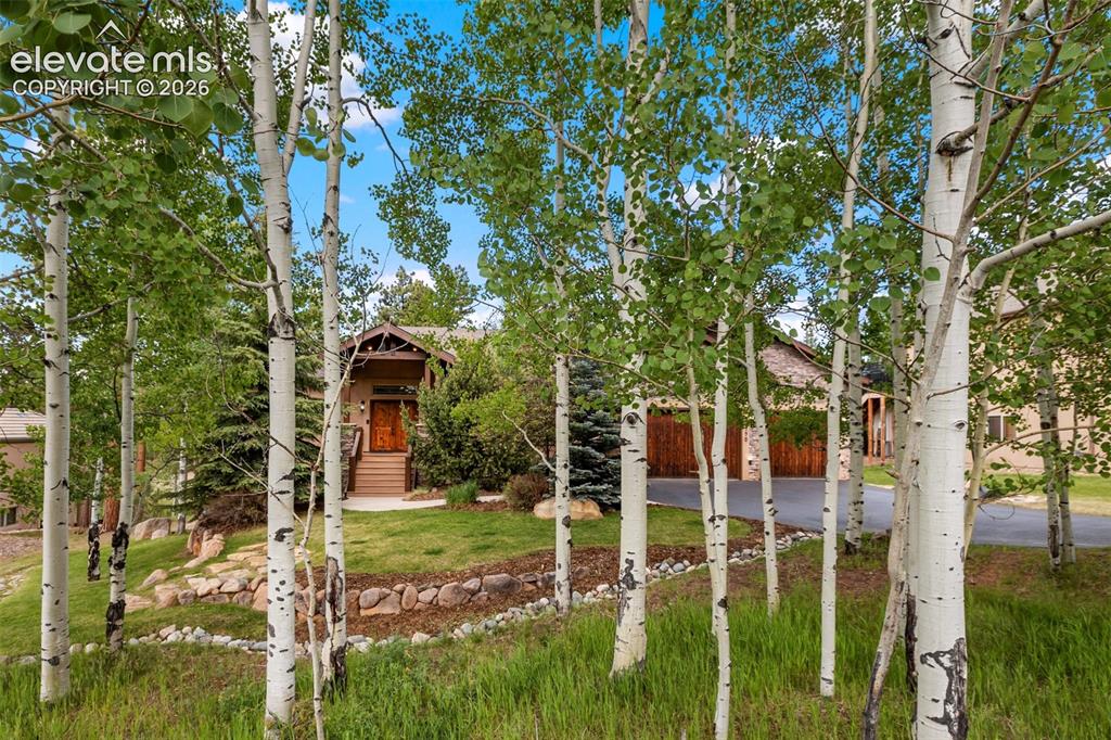 Image 46 of 50: The home is perfectly positioned amongst an aspen grove which allows you to