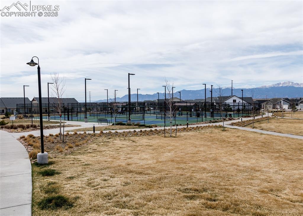 Image 33 of 34: Community