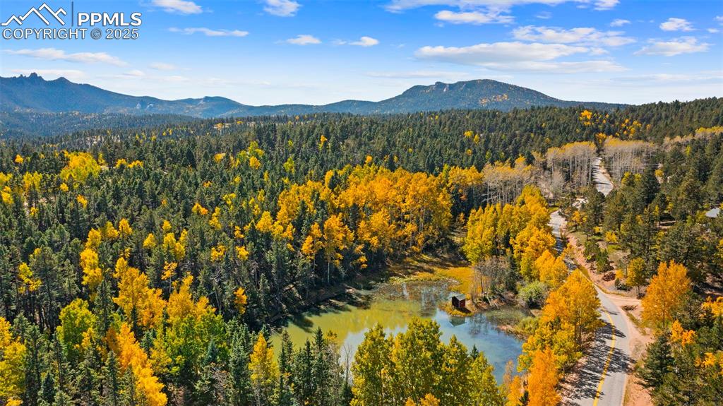 Image 2 of 50: View of mountain backdrop featuring a forest