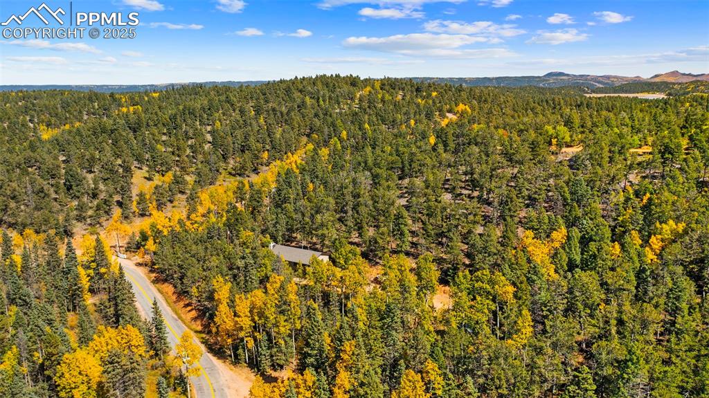 Image 45 of 50: Aerial view of a heavily wooded area and a mountainous background