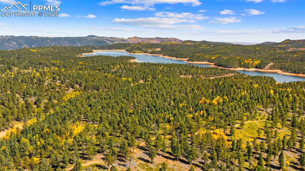 Image 46 of 50: Other