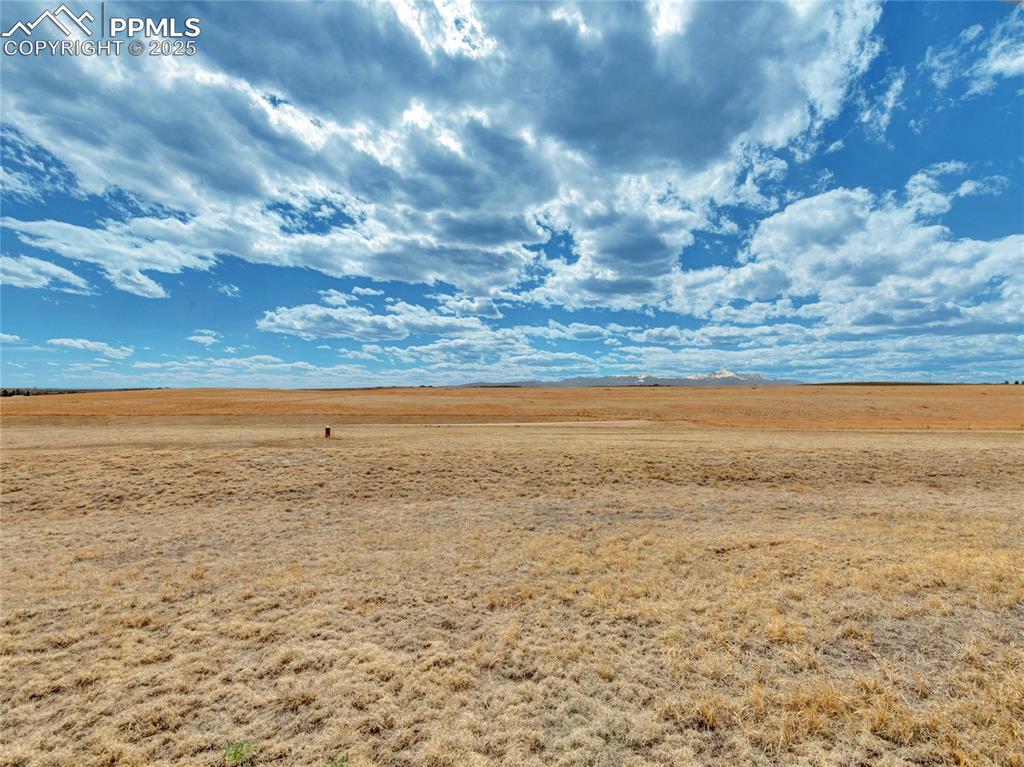 Image 11 of 14: Other