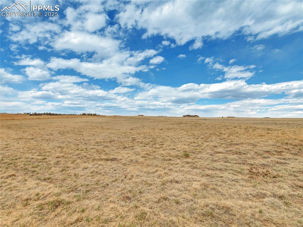 Image 13 of 14: Other